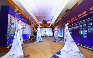 新景龙华城 品牌发布盛典落幕 新景国风力作首映安溪