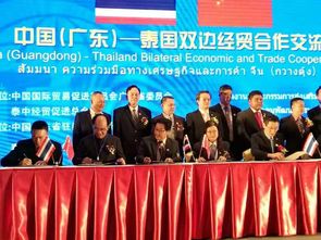 中国 广东 泰国双边经贸合作交流会